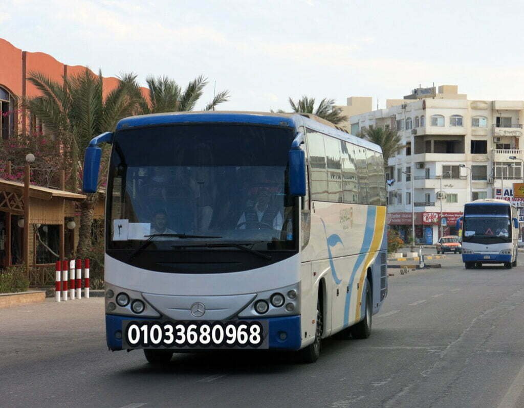 ايجار اتوبيسات للجامعات