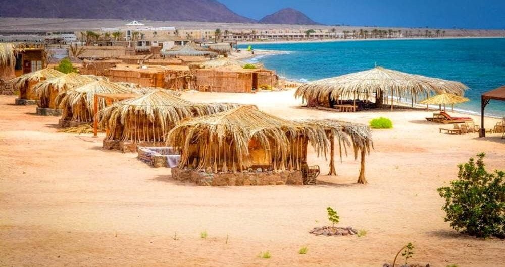 ايجار باص الى نويبع