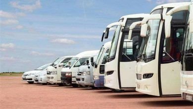 ايجار باص 33 راكب الى بورسعيد